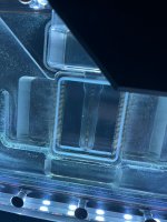 WhatsApp Image 2024-08-07 at 17.26.01.jpeg