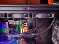 20240801_132621 resized.JPG