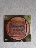 20240826_143804 resized.JPG