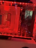 IMG_3565.jpeg