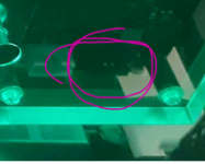 1756383628026.png