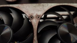 IMG_20250115_213249.jpg IMG_20250115_213249.jpg